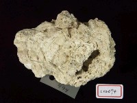 Accession Number:C02094 Collection Image, Figure 3, Total 4 Figures